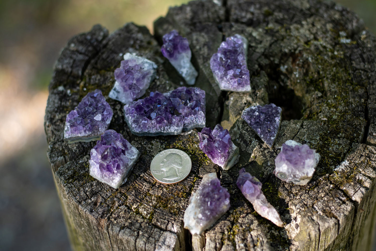 mini Amethyst clusters