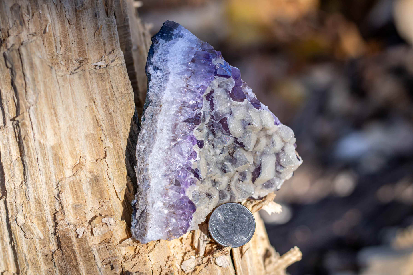 *RARE* Amethyst w/ Calcite