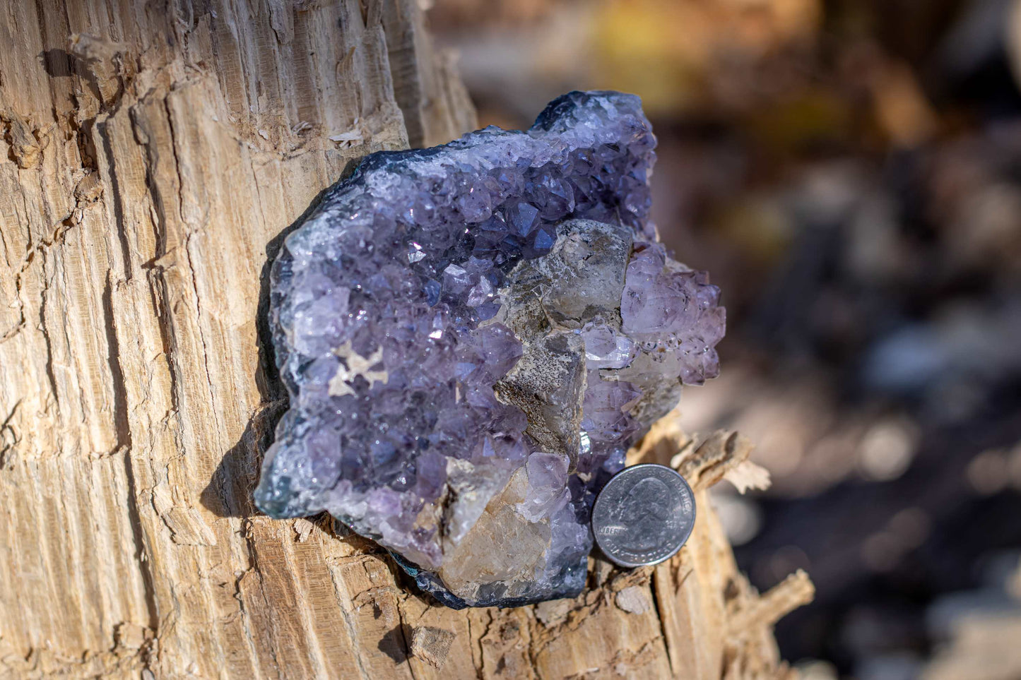 *RARE* Amethyst w/ Calcite