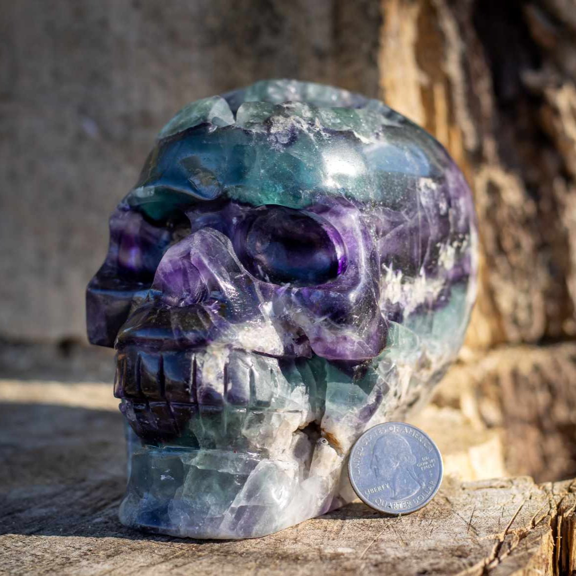 Rainbow Fluorite Skull