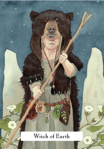 The Witches' Wisdom (standard edition)
