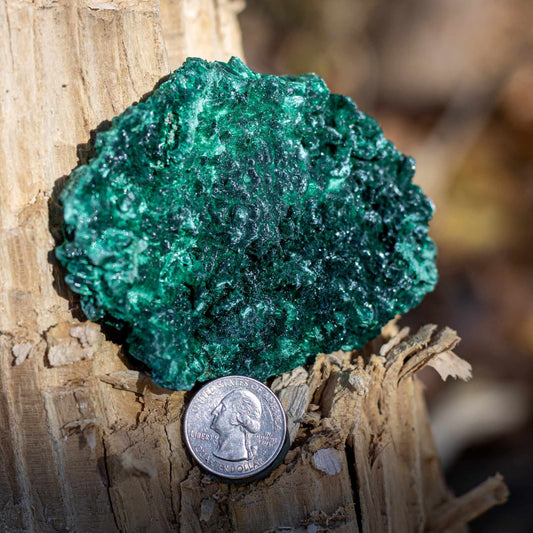 Fibrous Malachite