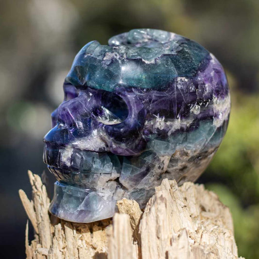 Rainbow Fluorite Skull